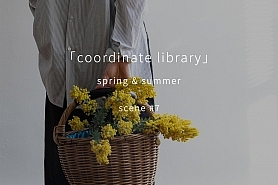 coordinate-library