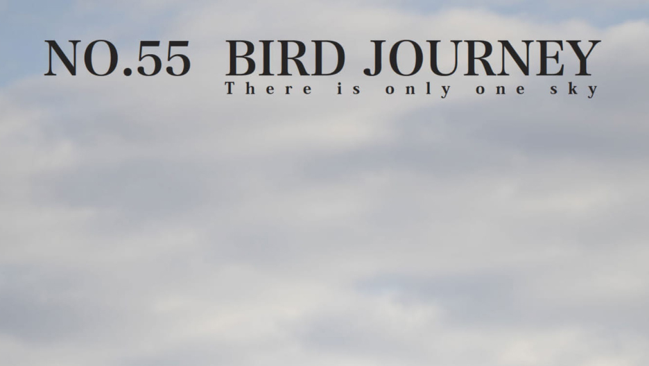 2024AWエバゴスBIRD JOURNEY トリミングハンドバッグ定価12万 2024AWエバゴスBIRD JOURNEY トリミングハンドバッグ定価12万