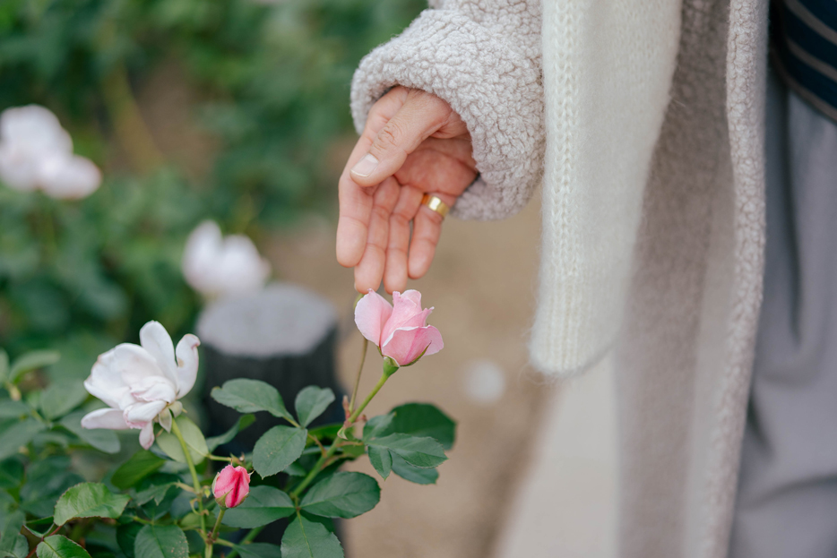 move on. - MADRIGAL（マドリガル）